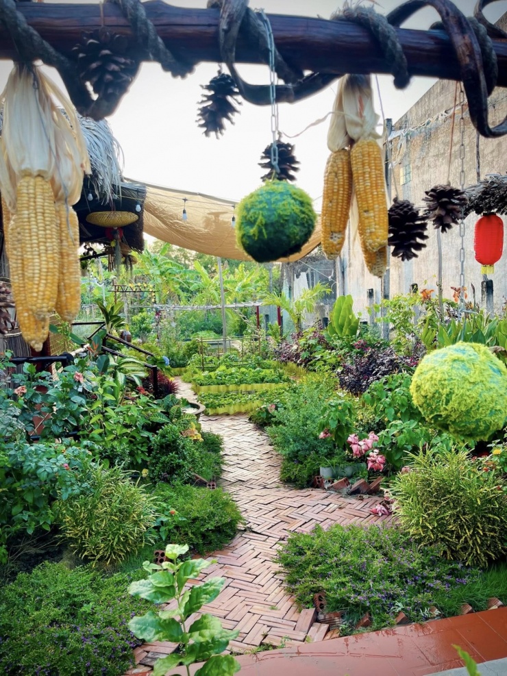 Chàng trai Vĩnh Long chi hơn 100 triệu biến đất hoang thành khu vườn 4 mùa xanh mát - 3