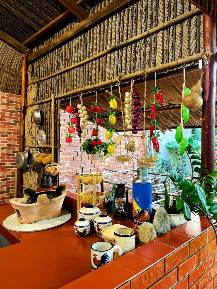 Chàng trai Vĩnh Long chi hơn 100 triệu biến đất hoang thành khu vườn 4 mùa xanh mát - 5