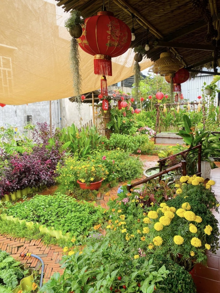 Chàng trai Vĩnh Long chi hơn 100 triệu biến đất hoang thành khu vườn 4 mùa xanh mát - 7