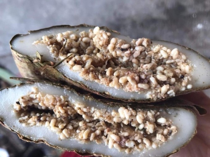 Bánh trứng kiến truyền thống của người Tày. Ảnh: NVCC