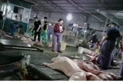 Nhức nhối thực phẩm bẩn: Biết rồi, khổ lắm, nói mãi