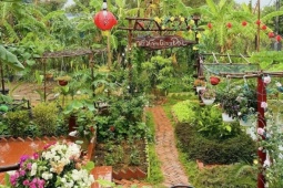 Chàng trai Vĩnh Long chi hơn 100 triệu biến đất hoang thành khu vườn 4 mùa xanh mát