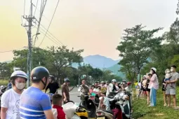 Du khách 'làm hư' đàn khỉ ở bán đảo Sơn Trà