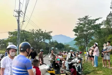 Du khách 'làm hư' đàn khỉ ở bán đảo Sơn Trà