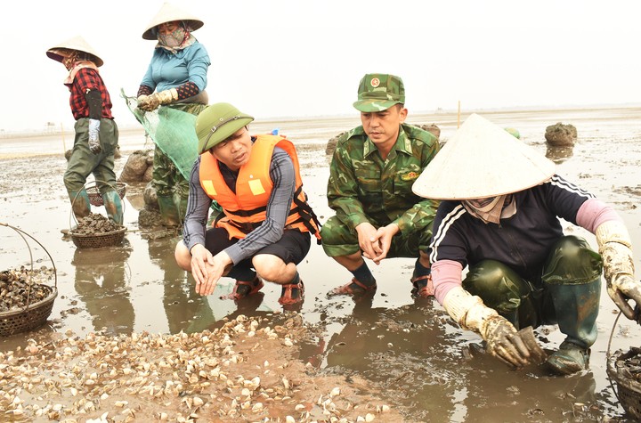 Lãnh đạo xã Nam Cường nắm bắt tình hình ngao chết hàng loạt tại bãi nuôi trên địa bàn xã.