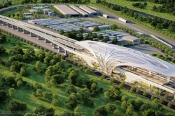 Khám phá cung đường chạy đẹp nhất Việt Nam: băng rừng di sản, xuyên “kỳ quan đô thị biển” tại Cần Giờ