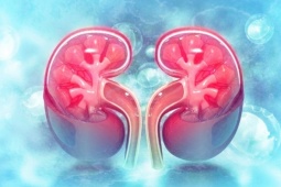 Muốn bảo vệ 2 quả thận, nhất định phải hạn chế 8 loại thực phẩm này