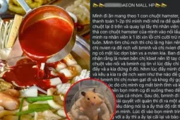 Vụ chuột hamster của khách "rơi vào nồi lẩu” tại AEON Mall Hải Phòng: Nhà hàng nói gì?