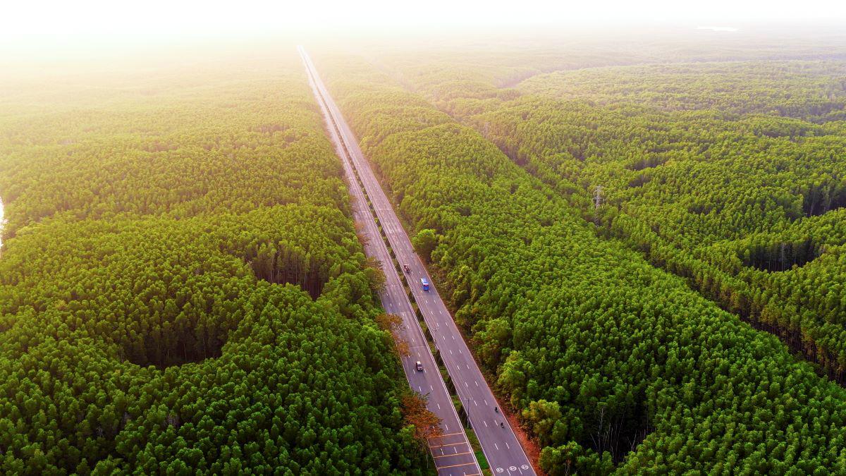 Chạy xuyên rừng ngập mặn và dọc bờ biển Cần Giờ là trải nghiệm đáng giá nhất tại VnExpress Marathon Green Paradise.