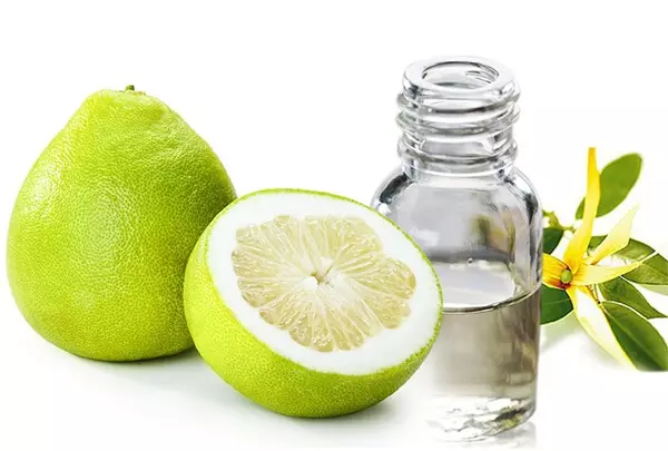 Vị thuốc quý như “nhân sâm” chữa đàm ho khó thở cực “nhạy”, mùa nào cũng có: Bạn đã biết chưa? - 2