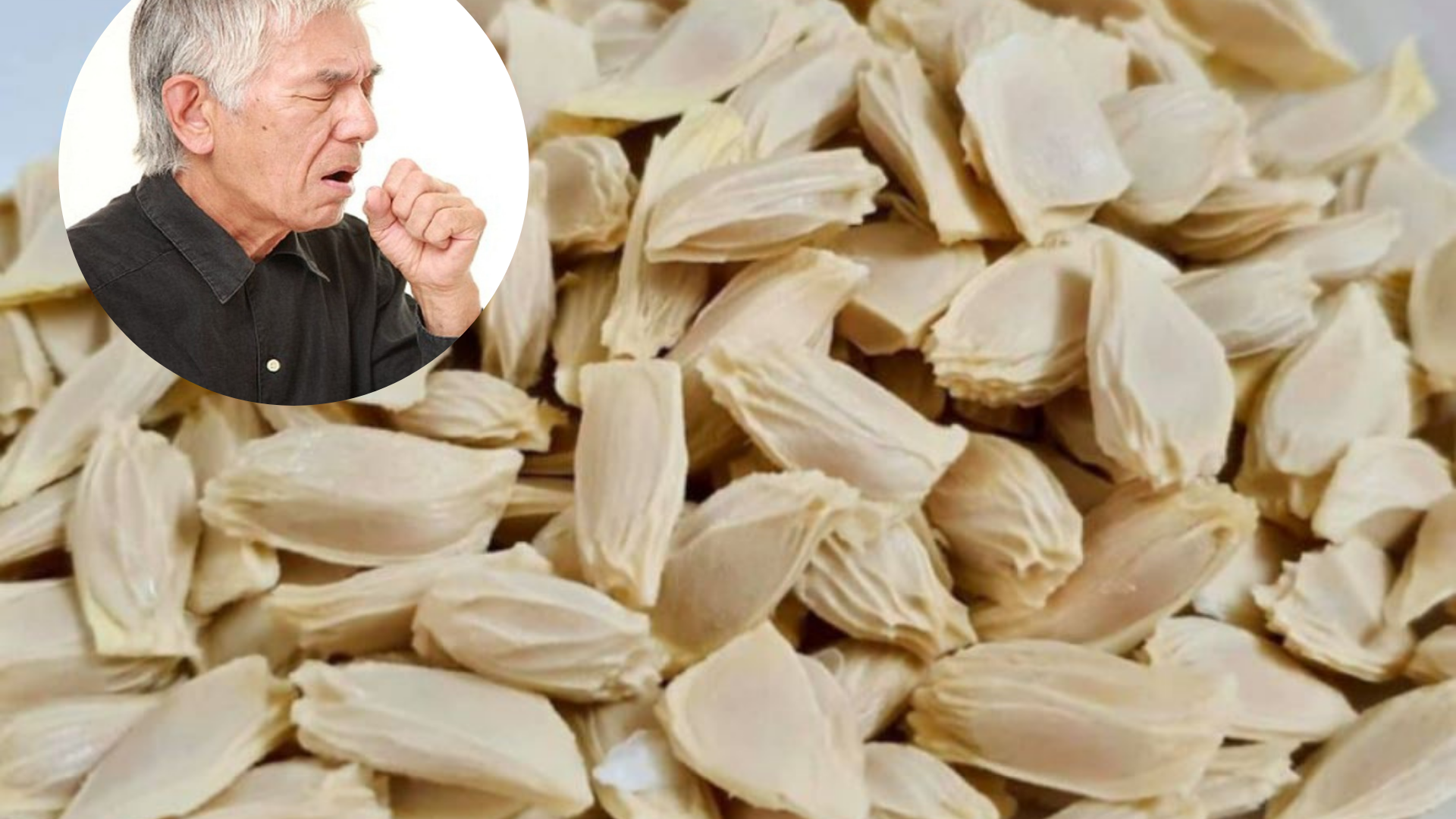 Vị thuốc quý như “nhân sâm” chữa đàm ho khó thở cực “nhạy”, mùa nào cũng có: Bạn đã biết chưa? - 3