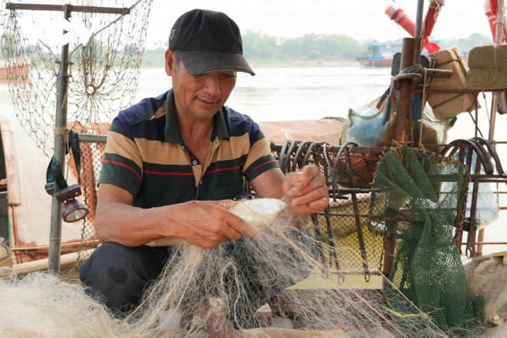 Ông Trần Văn Chính ở xã Nam Sang (tỉnh Ninh Bình) sang Hưng Yên đi đánh cá mòi từ sáng sớm tới chiều tối.