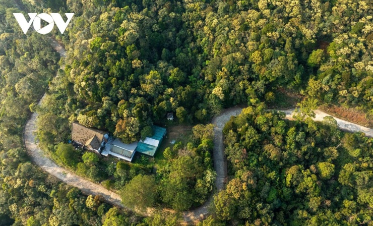 Khung cảnh mùa hoa trên đỉnh Bạch Mã tại Huế. Dịp cuối tháng Ba, đầu tháng Tư khi Huế đang ở mùa đẹp nhất chính là thời điểm lý tưởng để du khách bắt đầu một hành trình về với Cố đô.