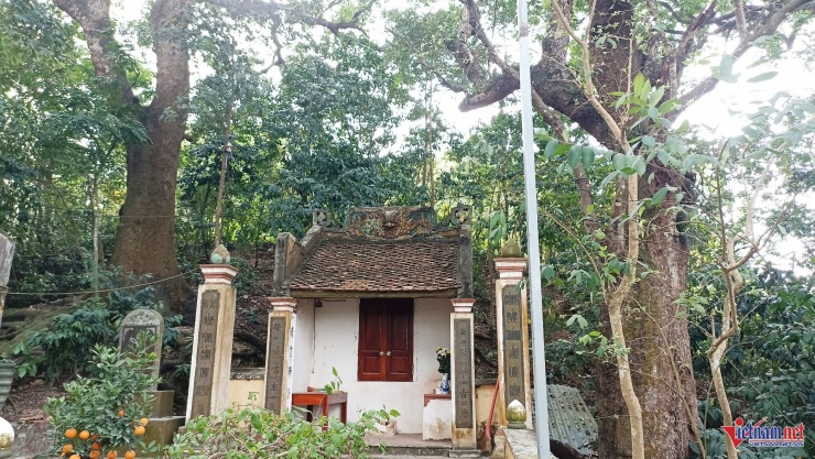 Ngôi đền cổ Bích Sơn nằm dưới những tán cây lim cổ thụ hàng trăm năm tuổi