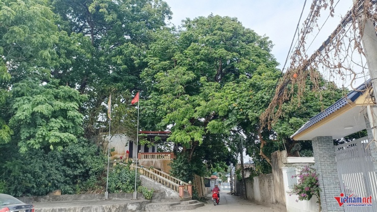 Đền nằm ở lưng chừng ngọn đồi, phía trên con đường làng