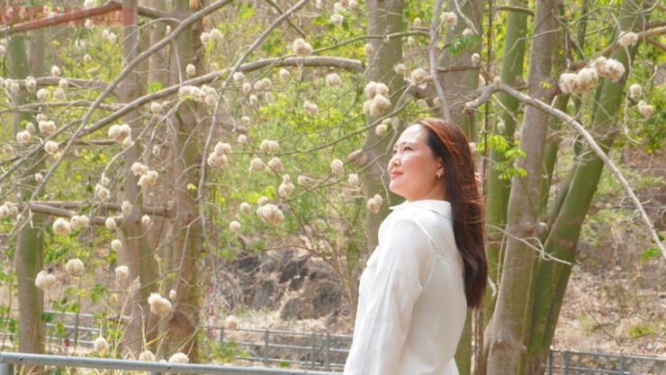 Bông gòn nở rộ "gây sốt", hút khách ở Vũng Tàu - 5