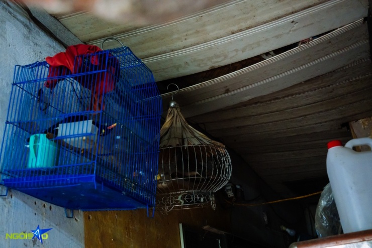 Cảnh sống thấp thỏm trong khu tập thể cũ nát 50 năm chờ ngày phá dỡ - 9