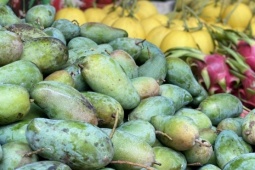 Một loại xoài Việt đang bán đầy chợ giá chỉ hơn chục nghìn đồng/kg, tiểu thương tiêu thụ hàng tạ mỗi ngày ai nhìn cũng muốn mua