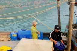 Chuyến biển thu 3 tạ cá, vì sao tiền công chỉ 200.000 đồng/người?