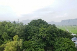 Cả làng bảo vệ 'báu vật' hàng trăm tuổi trên đồi Bích Sơn ở Ninh Bình