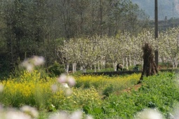 Chọn 4 điểm đi chơi gần Hà Nội dịp Giỗ Tổ, 30/4