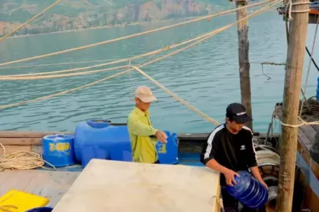 Chuyến biển thu 3 tạ cá, vì sao tiền công chỉ 200.000 đồng/người?