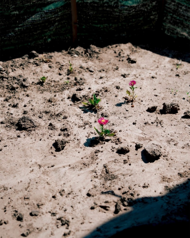 Ngắm công viên đá nghìn hình thù ở ven biển Ninh Thuận - 8