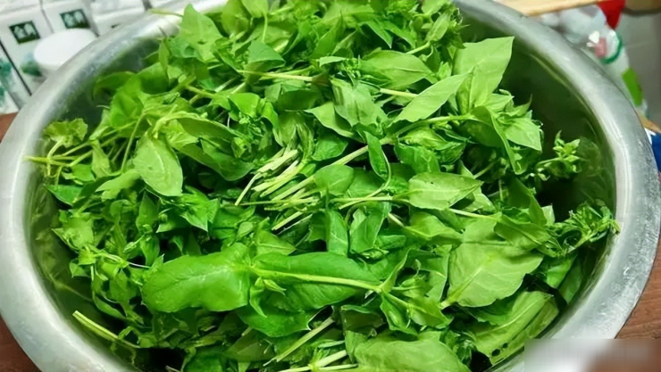 Loại rau dại được mệnh danh là "cỏ làm sạch ruột", thanh nhiệt, giải độc, trộn tỏi giòn ngọt, ngon miệng - 5