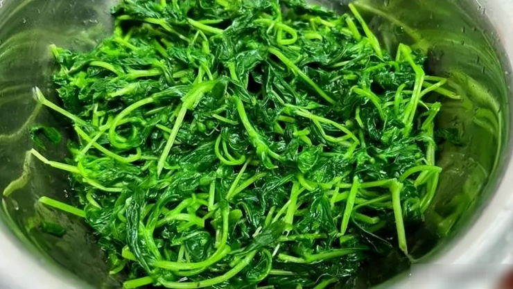 Loại rau dại được mệnh danh là "cỏ làm sạch ruột", thanh nhiệt, giải độc, trộn tỏi giòn ngọt, ngon miệng - 7