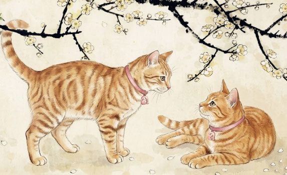 Con giáp Mão còn có năng lực quản lý tài chính đáng nể. Họ chi tiêu hợp lý, biết tích lũy và cân đối thu chi, giúp kinh tế gia đình luôn ổn định. Ảnh minh họa