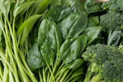 7 loại rau "ngậm" nhiều thuốc trừ sâu nhất chợ, toàn món quen thuộc của người Việt