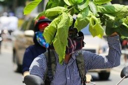 Nắng nóng gay gắt kéo dài, khuyến cáo các biện pháp bảo vệ sức khỏe