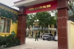 Thái Nguyên xử phạt 22,5 triệu đồng cơ sở cung cấp thịt lợn bệnh cho trường mầm non