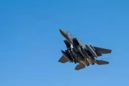 Chuyên gia Litovkin: Iran có thể đã bắn hạ tiêm kích F-15 bằng vũ khí của Liên Xô/Nga