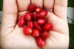 Tin tức sức khỏe - Trào ngược dạ dày gây nghẹn họng, đầy bụng, buồn nôn: Hàng vạn bệnh nhân đón tin vui vì sao?