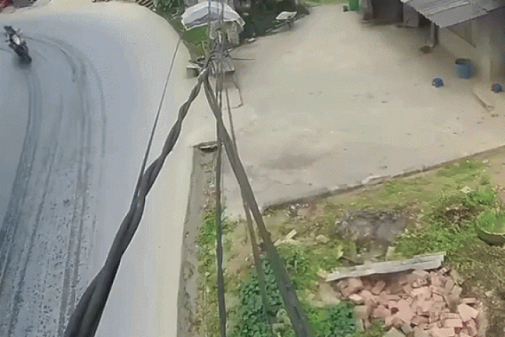 Hai người nước ngoài vào cua ngã trước đầu xe tải