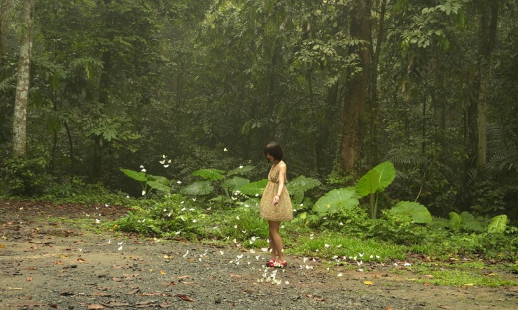 Khách đổ đến check in vườn Cúc Phương mùa bướm - 2