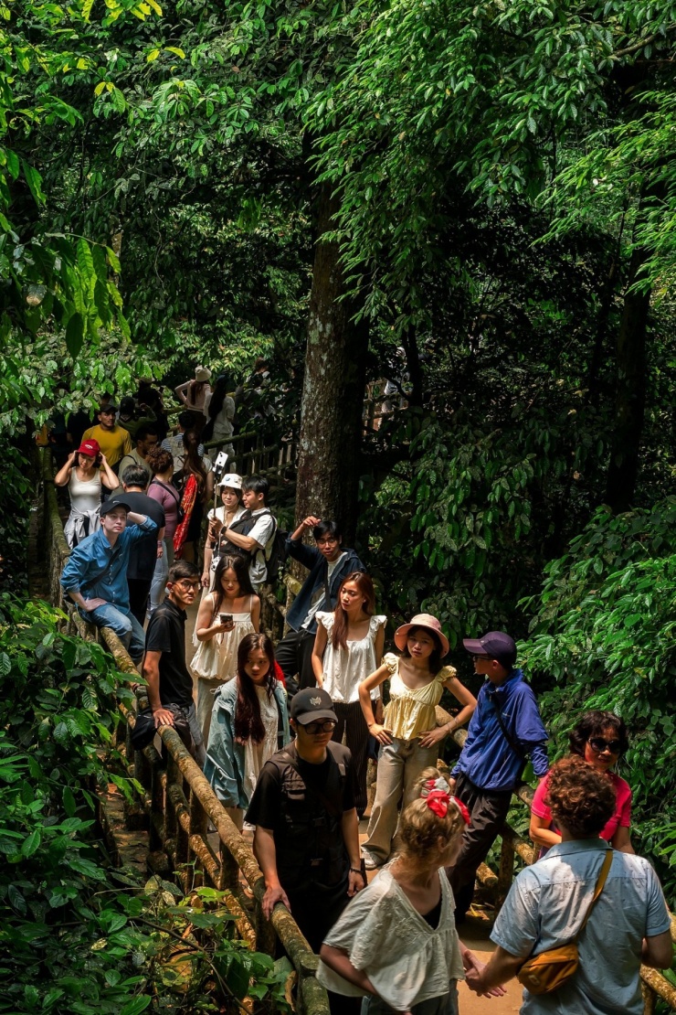 Khách đổ đến check in vườn Cúc Phương mùa bướm - 4