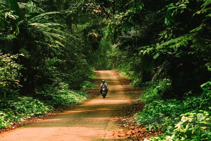 Khách đổ đến check in vườn Cúc Phương mùa bướm - 7