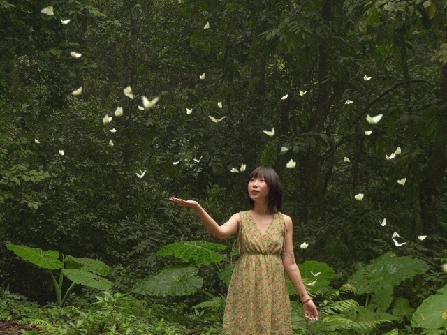 Khách đổ đến check in vườn Cúc Phương mùa bướm