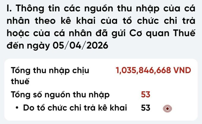 Thông tin quyết toán thuế của Kim Anh trong năm 2025. Ảnh: NVCC