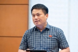 Đại biểu Quốc hội: Dự trữ xăng dầu là "mua bảo hiểm" cho nền kinh tế