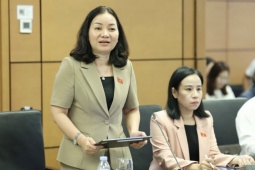 Đại biểu nêu bất cập khi dịch vụ công số "khai online vẫn phải nộp bản giấy"