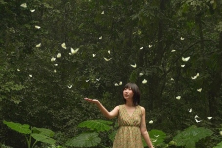 Khách đổ đến check in vườn Cúc Phương mùa bướm