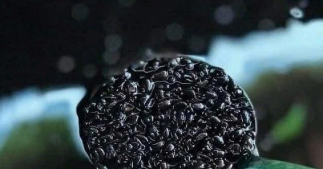 Người suy thận nên uống gì? 4 loại đồ uống dễ làm tại nhà