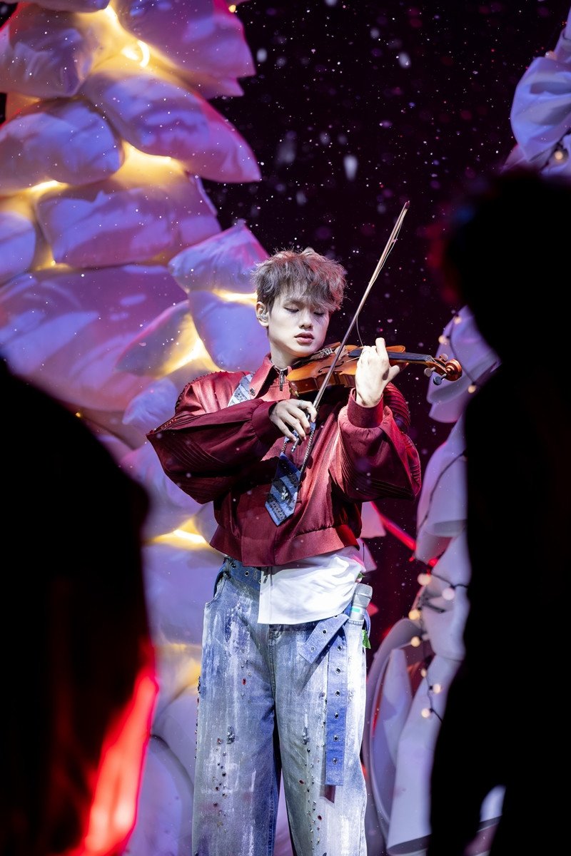 Bùi Trường Linh từng đỗ thủ khoa violin đầu vào năm 8 tuổi tại Học viện Âm nhạc Quốc gia Việt Nam.