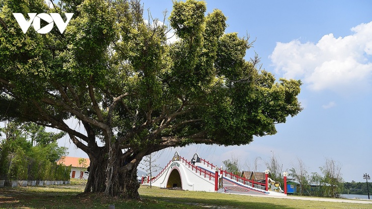 Tới đây, địa phương sẽ đưa vào sử dụng bến thuyền và một khu chợ nổi phục vụ du lịch bên cầu Song An.