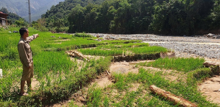 Vùng sản xuất lúa ở bản Huồi Tố 2, xã Nhôn Mai bị tàn phá sau mưa lũ. Ảnh: X.H