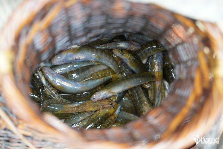 'Chảo lửa Đông Dương' đạt 42 độ C, người dân xoay xở thích ứng - 7