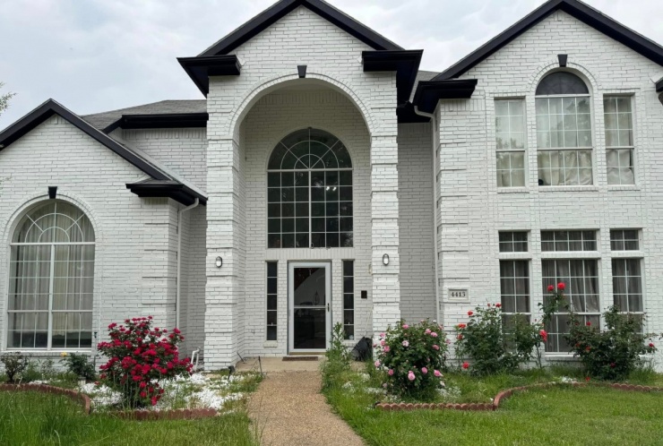 Hàng chục khóm hồng khoe sắc trong biệt thự của Đan Trường ở Mỹ - 1